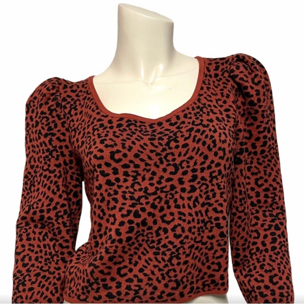 Express crop sweater